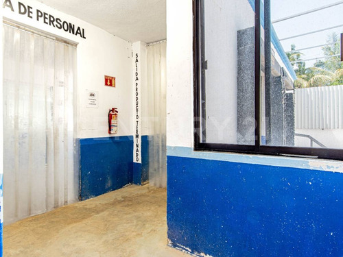 Bodega/planta Para Proceso De Alimentos En La Paz, Bcs