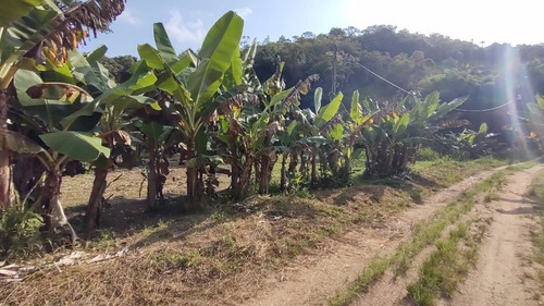 Imagem 22 de 26 de Juquiá/oportunidade/chácara Rica Em Água E Área De Plantio/ref:05354