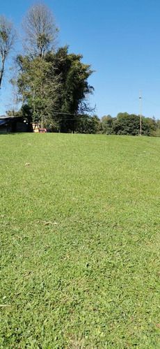 Imagen 9 de 22 de Terreno - Cuauhtémoc