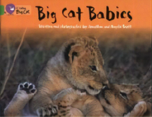 Big Cat Babies - Band 5 - Big Cat, De Scott, Angela & Jonathan. Editorial Harper Collins Publishers Uk En Inglés, 2005