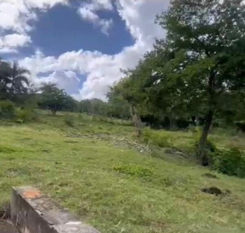 Venta Finca De 63 Tareas Ubicada A 15 Minutos Del Centro De La Ciudad De Puerto Plata