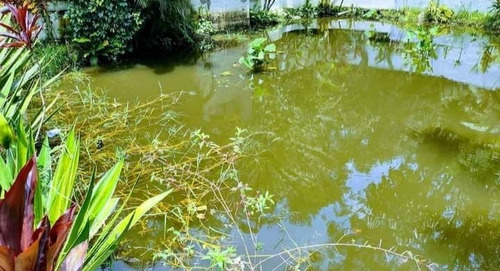 Imagem 3 de 19 de Pj Chácara A Venda Em Suzano