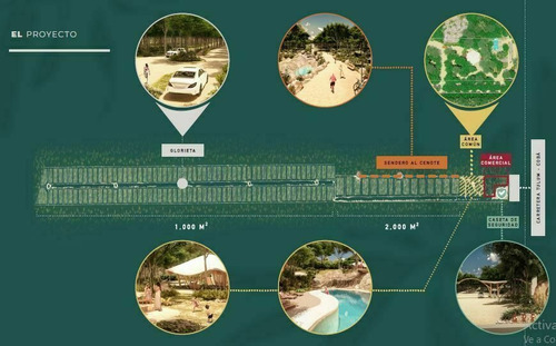 Imagen 16 de 17 de Lotes Residenciales En Fraccionamiento Ecológico!!! Tulum!!!