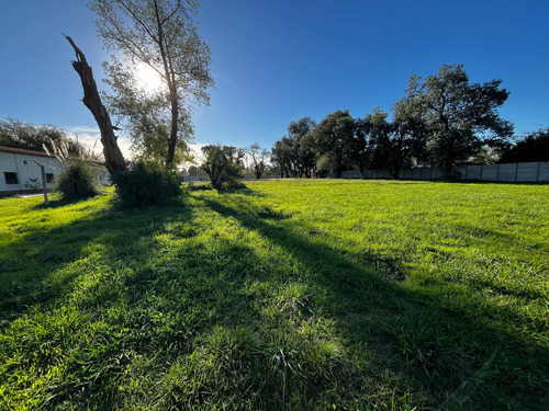 Terreno/lote En Venta Y Alquiler En Parque Industrial Polo 21- Merlo-
