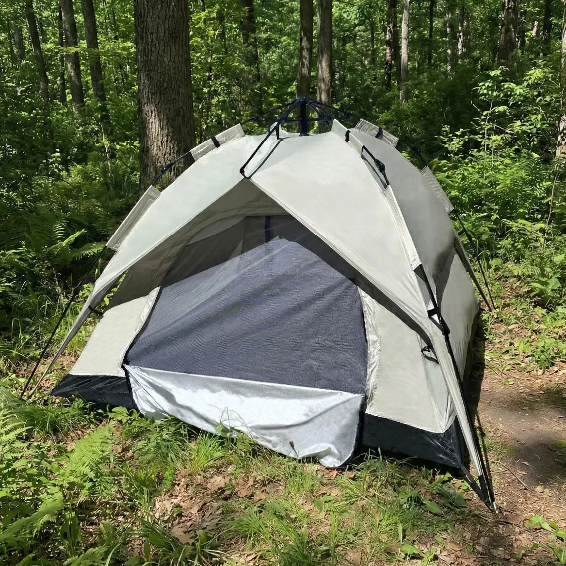 Carpa Beige Dakota Para Camping 4 Personas 170cm X 170 cm X 1,35m Con Techo Armado Automático