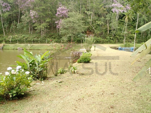 Imagem 26 de 30 de Sítio À Venda Em Juquitiba, Com Estrutura Reversível Para Pesqueiro. - 106 - 34341139