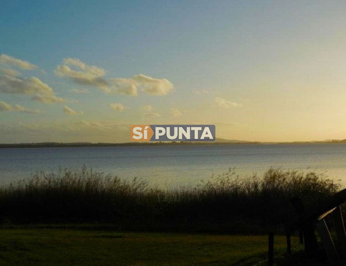 Imagen 1 de 13 de Chacra A La Venta En Laguna Del Sauce
