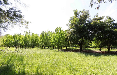 Venta Parcelas En El Tijeral, Angol Imperdible