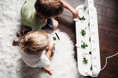 Click And Grow Smart Garden 9 Pro Con Bluetooth | Jardín Int