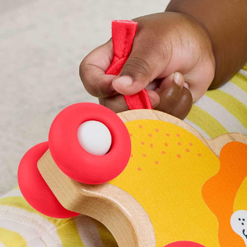Fisher-price Juguete Para Bebés Animalitos Camina Conmigo