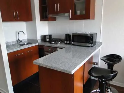 Oportunidad Arriendo 1 D San Pedro (102290)