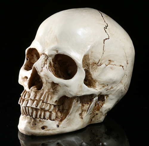 Lifesize 1: 1 Prop Model White Human Resin