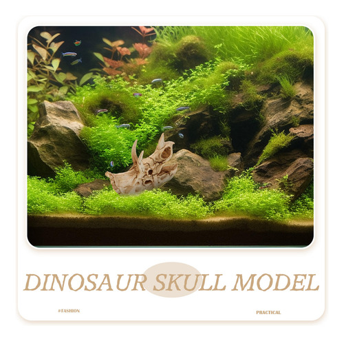 Adorno Decorativo De Calavera De Dinosaurio Para Pecera