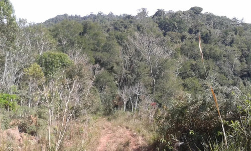 Área Com 60.000 M² Ideal Para Montar Chácara Ou Sítio De Lazer