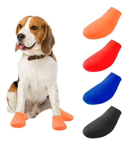 Zapato Para Perro