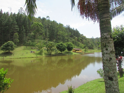 Imagem 17 de 30 de Juquitiba/lindo Sitio/pronto Para Usufruir - 04620 - 33418566