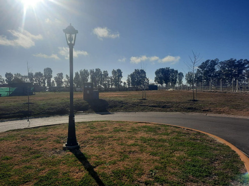 Imagen 4 de 22 de Venta De Lote Pilar Del Este Santa Lucia