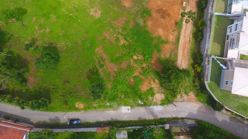 Imagem 7 de 15 de Lotes Exclusivos No Cônego - Lote 01 - 245