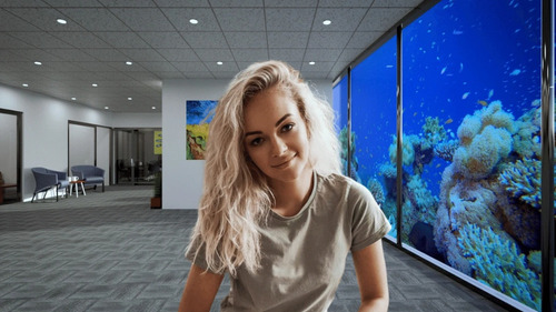 Virtual Backgrounds For Video Conferencing