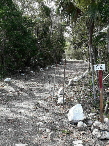 Imagen 9 de 9 de Terreno En Venta De 1,600 M2, Región 11 Mza 875