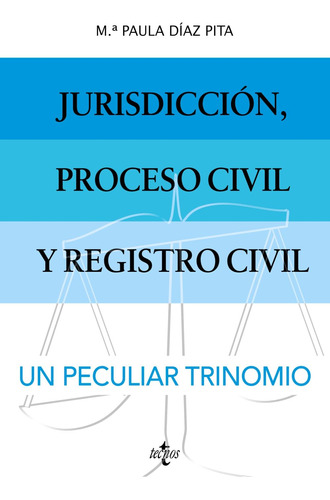 Jurisdicción, Proceso Civil Y Registro Civil: Un Peculiar Tr