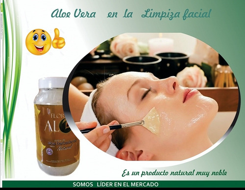 Pulpa Natural De Sábila 100% Aloe Vera Orgánica