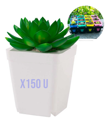 Set Maceteros Cactus Suculentas 7x7x8(cm)//150 Unidades