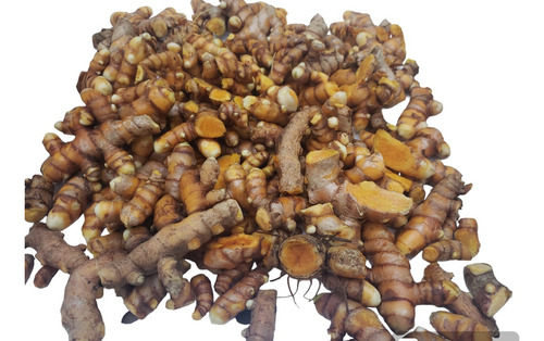 Açafrão Orgânico Fresco- Curcuma 2 Kg