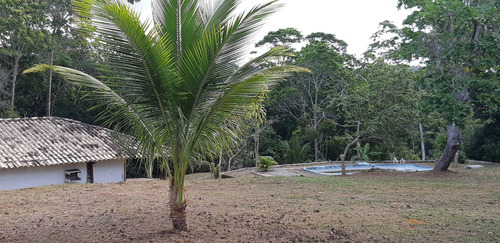 Venda Sitio Em Itacaré Bahia Com Casa E Piscina Pra Reforma