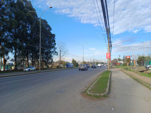 Sitio En Venta Avda. San Miguel, Talca (100547)