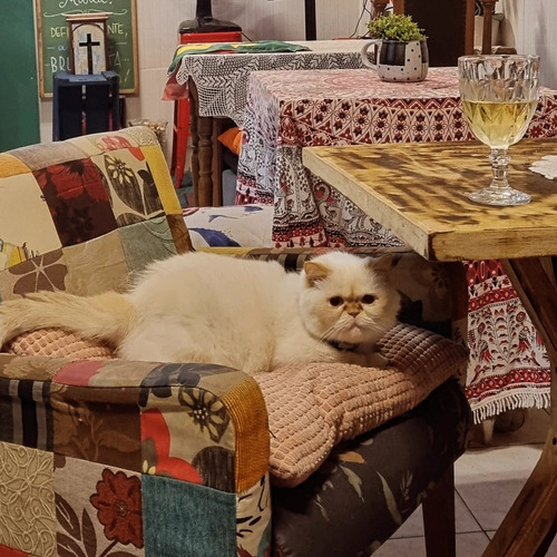 Bar - Bistrô À Venda Na Aclimação