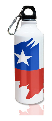 Botella Deportiva 600cc Personalizada Fiestas Patrias Chile 