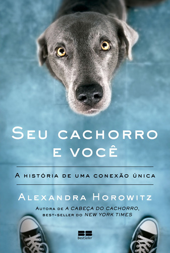 Seu cachorro e você: A história de uma conexão única, de Horowitz, Alexandra. Editora Best Seller Ltda, capa mole em português, 2021