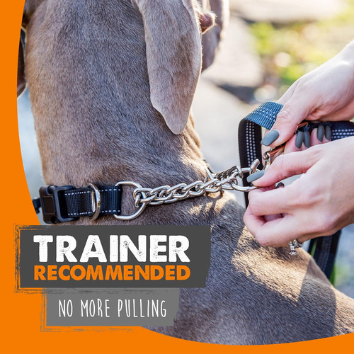 Mighty Paw Martingale Collar De Perro 2.0 | Trainer Appro...