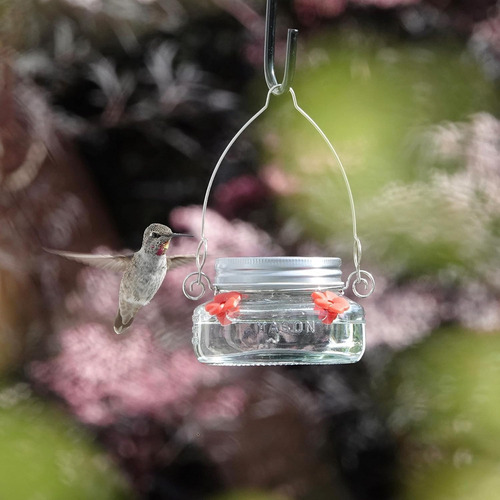 Nature's Way Bird Products Mjf1 Nature's Way Mason Jar Hu...