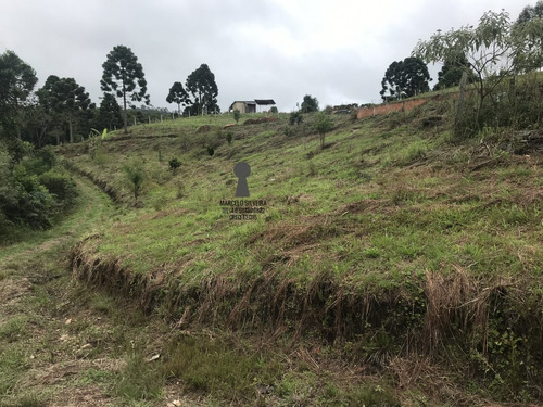 Chácara A Venda No Bairro Centro Em Bocaiúva Do Sul - Pr. - 453-1