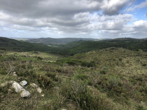 Punto Río | Campo De 64 Hectáreas En Las Sierras De Rocha