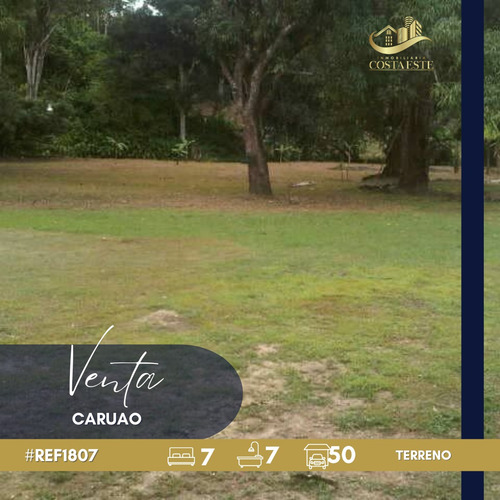 Terreno Con Bienhechuría En Venta Ubicado En Caruao Ref 1807