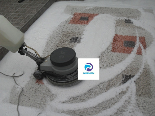 Imagen 6 de 10 de Limpieza De Sillones Y Alfombras!!