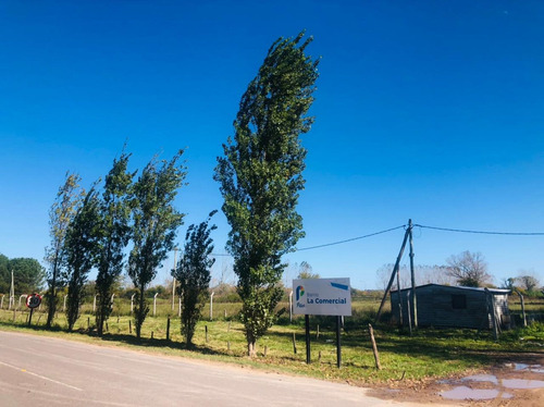 Imagen 8 de 9 de Terreno Comercial En Venta Acceso Estancias-pilara