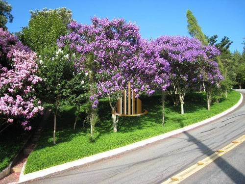 Imagem 4 de 20 de Casa Com 6 Suítes À Venda, 700m² Por R$ 4.500.000 - Alphaville 8 - Santana De Parnaíba/sp - Ca1277