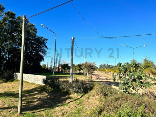 Imagen 2 de 9 de Ruta Prov Nº 1 Km 36 - Lote En Venta - Santa Rosa De Calchines