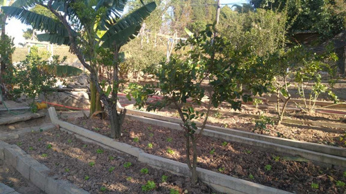 Imagem 9 de 14 de Chácara Com Área De 1.200 M², Casa Sede E De Caseiro !!