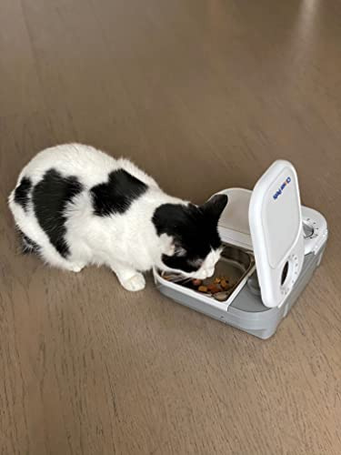 Alimentador Automático Para Mascotas De Dos Comidas Con Tazo