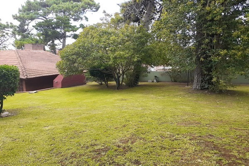 Imagen 23 de 23 de Ph En Zona Centro Con Amplio Lote Toma Depto De 2 Ambientes En Villa Gesell Con Cochera En Parte De Pago