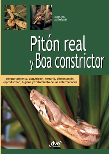 Piton Real Y Boa Constrictor