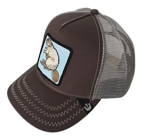 Goorin beaver cheap