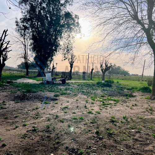 Se Vende Extenso Terreno En La Localidad Del Carril, Partido De Saladillo.