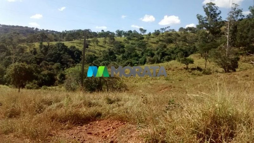 Imagem 15 de 15 de Fazenda - Zona Rural - Ref: 2771 - V-mta2771