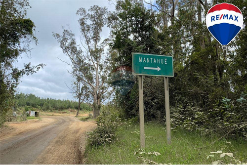 Predio Forestal En Venta 52 Ha. - Mantahue Gorbea
